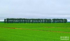 長沙建網(wǎng)站公司
